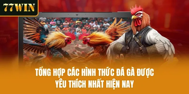Tổng hợp các hình thức đá gà được yêu thích nhất hiện nay