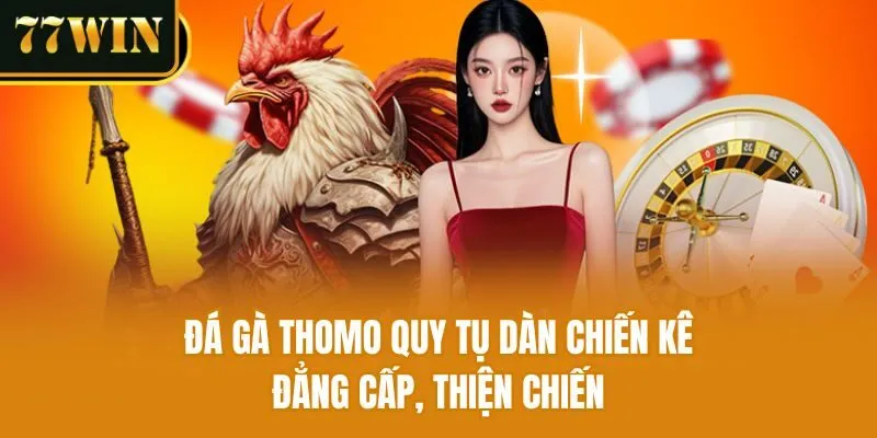 Đá gà Thomo quy tụ dàn chiến kê đẳng cấp, thiện chiến